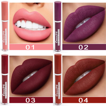 Matte Lipstick 10 matte lipsticks