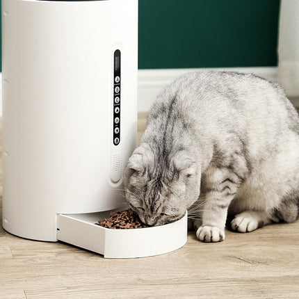Pet Smart Futterautomat, Haustierbedarf, Timing