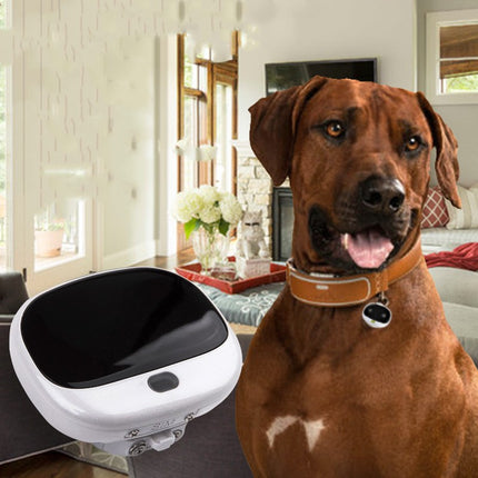 Mini-Katzen-Tracker zur schnellen Ortung Ihres Haustieres