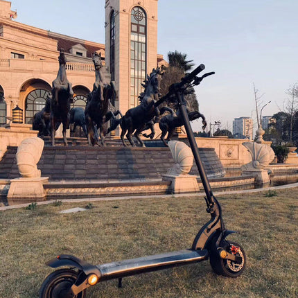 Double Drive Folding Scooter With Wide Tires