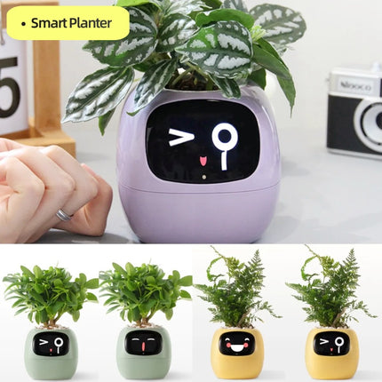 Smart Planter Endless Fun Over 49 Rich Expressions 7 Smart Sensors AI