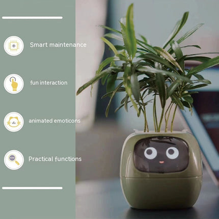 Smart Planter Endless Fun Over 49 Rich Expressions 7 Smart Sensors AI