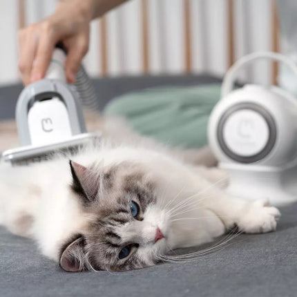 Smart Grooming für Haustiere und Haarsauger