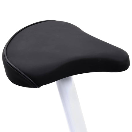 exercise bike with belt drive