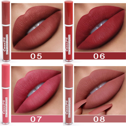 Matte Lipstick 10 matte lipsticks