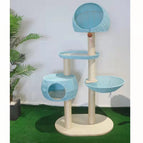 Blau