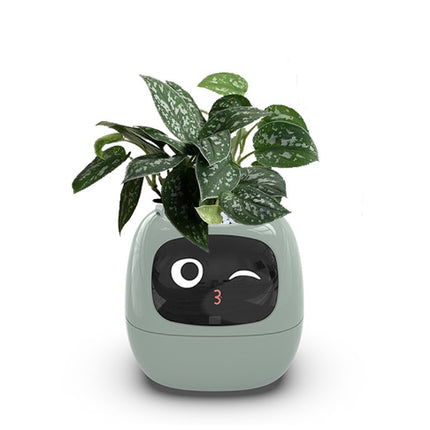 Smart Planter Endless Fun Over 49 Rich Expressions 7 Smart Sensors AI